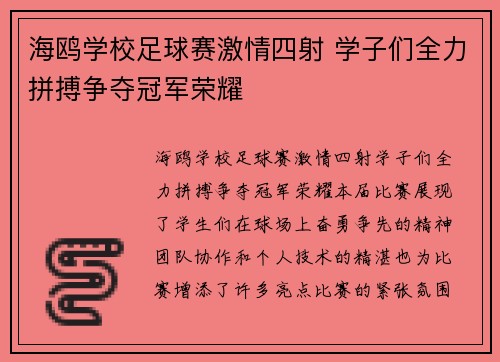 海鸥学校足球赛激情四射 学子们全力拼搏争夺冠军荣耀