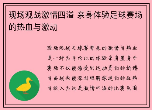 现场观战激情四溢 亲身体验足球赛场的热血与激动