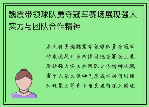 魏震带领球队勇夺冠军赛场展现强大实力与团队合作精神