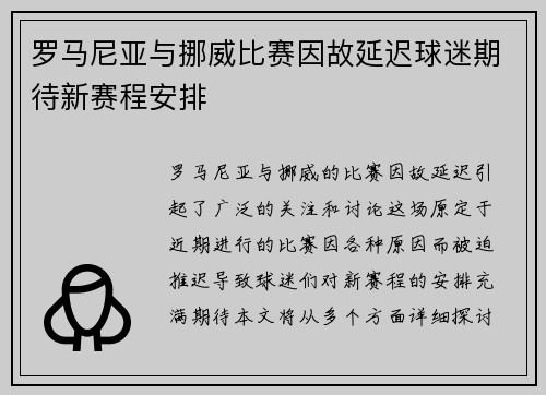 罗马尼亚与挪威比赛因故延迟球迷期待新赛程安排