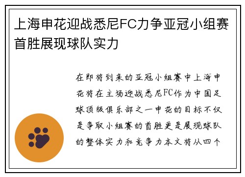 上海申花迎战悉尼FC力争亚冠小组赛首胜展现球队实力